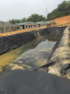 MÀNG CHỐNG THẤM HDPE